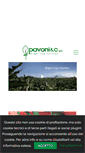Mobile Screenshot of pavonispa.it